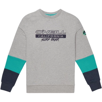 Trui O'Neill Boys California Sweatshirt Silver Melee
