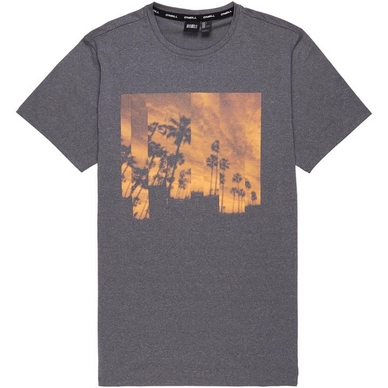 T-Shirt O'Neill Palmtree Hybrid Mid Grey Melee Herren