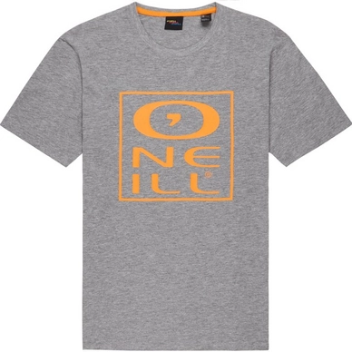 T-Shirt O'Neill Tonal Silver Melee Herren