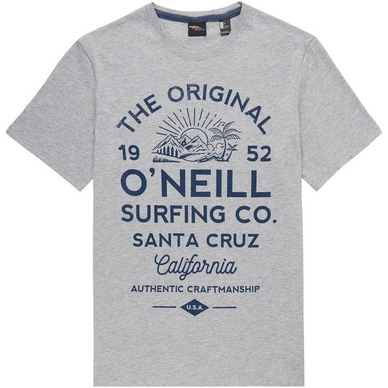 T-Shirt O'Neill Muir Silver Melee 2019 Herren