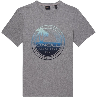 T-Shirt O'Neill Palm Island Silver Melee Herren