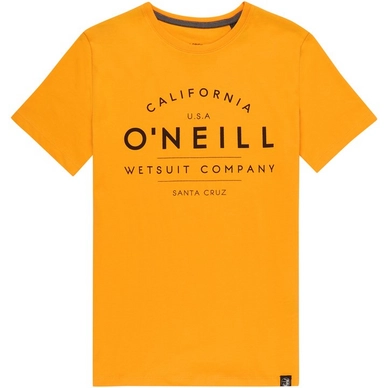 T-Shirt O'Neill Boys O'Neill S/S Eclat