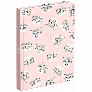 Schoolagenda Cats Pocket (2018/2019)