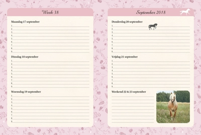 Schoolagenda Amazone (2018/2019)