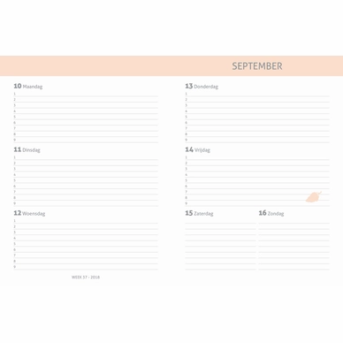 Schoolagenda Sweet And Gold (2018/2019)