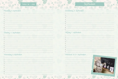 Schoolagenda Me To You (2018/2019)