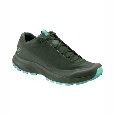 Wandelschoen Arc'teryx Women Aerios FL GTX Shorepine Illucinate