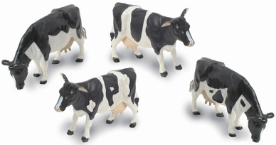 Britains Friese Koeien