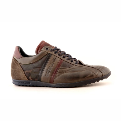 Cycleur de Luxe Crush City Military Green