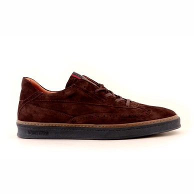 Cycleur de Luxe Querido Dark Brown