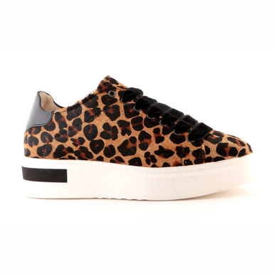 Cycleur de Luxe Maya Animal Print