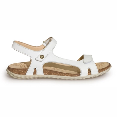 Sandaal Panama Jack Celine Basics B4 Napa Blanco White