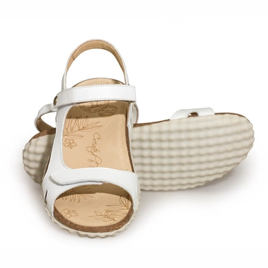Sandaal Panama Jack Celine Basics B4 Napa Blanco White