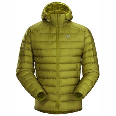 Jacket Arc'teryx Men Cerium LT Hoody Elytron