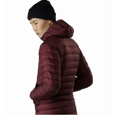 Cerium-LT-Hoody-Flux-Back-View