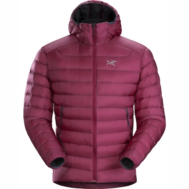 Jacket Arc'teryx Men Cerium LT Hoody Renegade