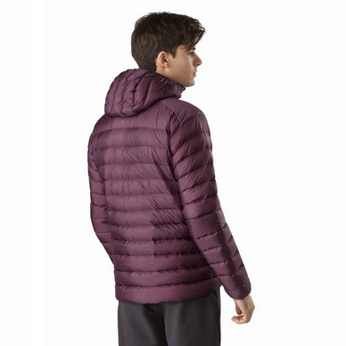 Cerium-LT-Hoody-Rhapsody-Back-View