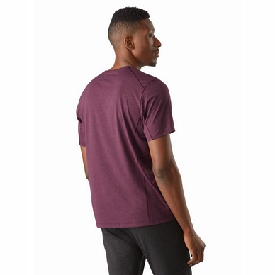 Cormac-Logo-Shirt-SS-Rhapsody-Back-View