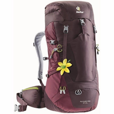 Backpack Deuter Futura Pro 34 SL Aubergine Maron
