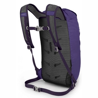 Dream Purple 2
