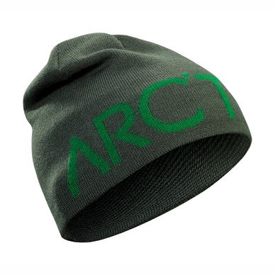 Bonnet Arc'teryx Word Head Toque Conifer Canyon