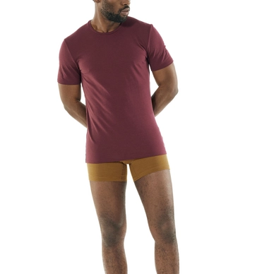 FW20-UNDERWEAR-MEN-ANATOMICA-SS-CREWE-103033632_4