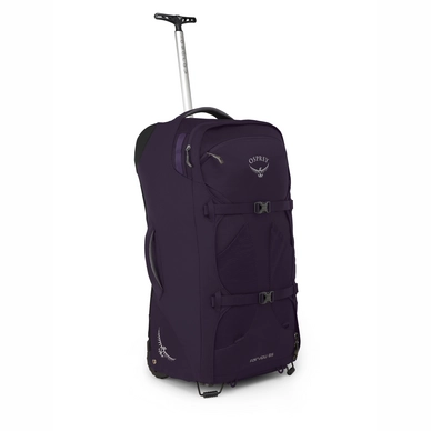 Fairview_Wheels_65_F19_Side_Amulet_Purple