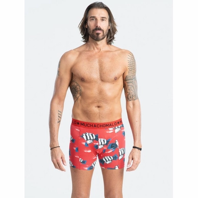GAMBLE_1010_PRINT_B_FRONTnew