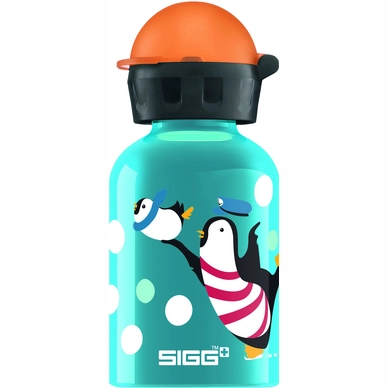 Water Bottle Sigg Polar Family Clear 0.3L