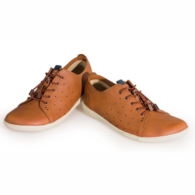 Sneaker Panama Jack Ireland C8 Napa Cuero Bark