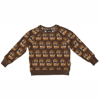 Sweater SNURK Kids Dino Brown
