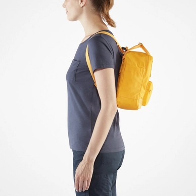Kanken_Mini_23561-141_E_MODEL_FJR