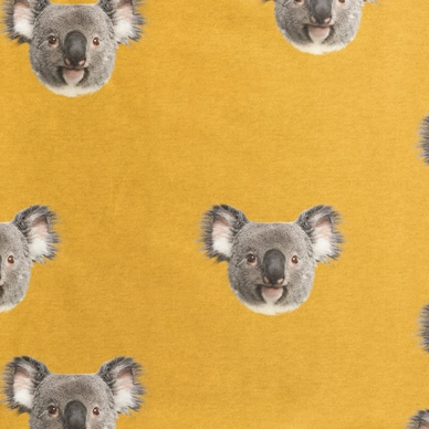 Koala_3000px_sample