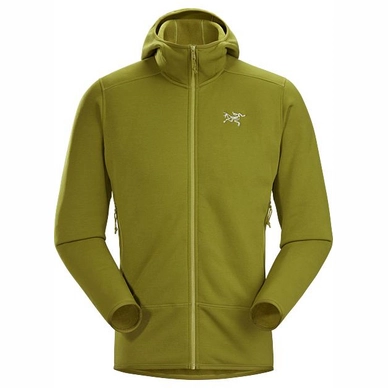 Fleece Arc'teryx Men Kyanite Hoody Elytron