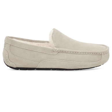 UGG Men Ascot Pumice