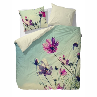 Taies d'oreiller Essenza Lea Multi Satin de Coton (50 x 75 cm)