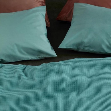 Living_Blue_Detail_