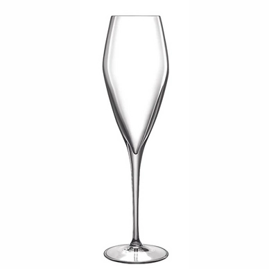 Champagne Glass Luigi Bormioli Atelier 270 ml (2-Piece)