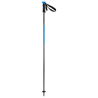 Skistock HEAD Multi S Anthracite/Bleu