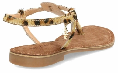 MXCY0044_03W tan dark brown_4