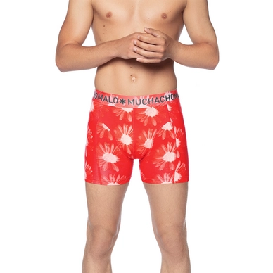 Men-2-pack-shorts-Flower-Power-print-11814