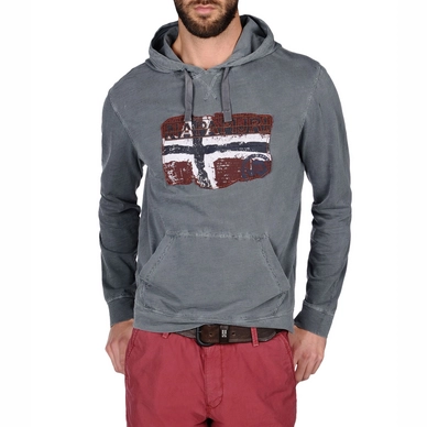 Pull Napapijri Beckley Greenhouse Men