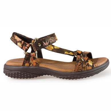 Sandaal Panama Jack Neus Tropical B2 Velour Marron Brown