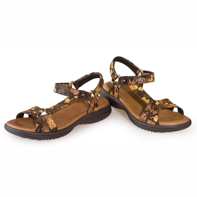 Sandaal Panama Jack Neus Tropical B2 Velour Marron Brown
