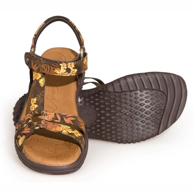 Sandaal Panama Jack Neus Tropical B2 Velour Marron Brown