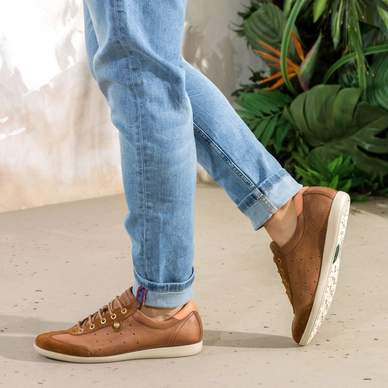 Veterschoen Panama Jack Noriega C10 Napa Castaño Chestnut