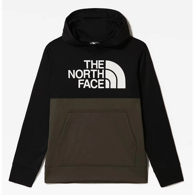Hoodie The North Face Boys Surgent P/O Block New Taupe Green