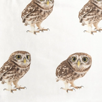 Night-Owl_3000px_sample