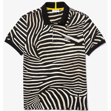 Polo Shirt Lacoste x National Geographic Men PH6285 Zebra