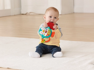 Vtech Pinguin Rammelaar